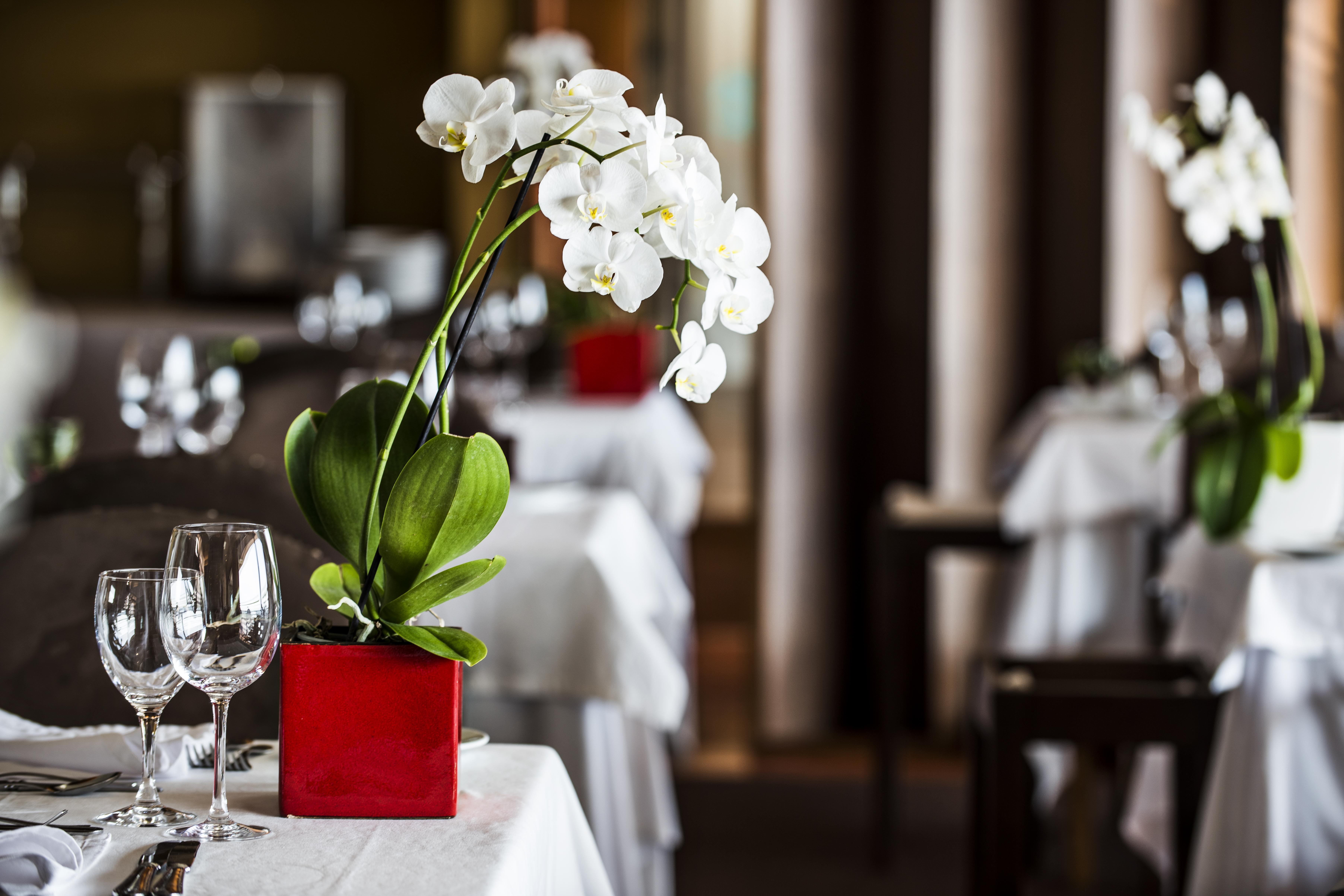 Sao Felix Hotel Hillside & Nature Povoa de Varzim Ngoại thất bức ảnh